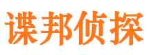 洛宁侦探公司